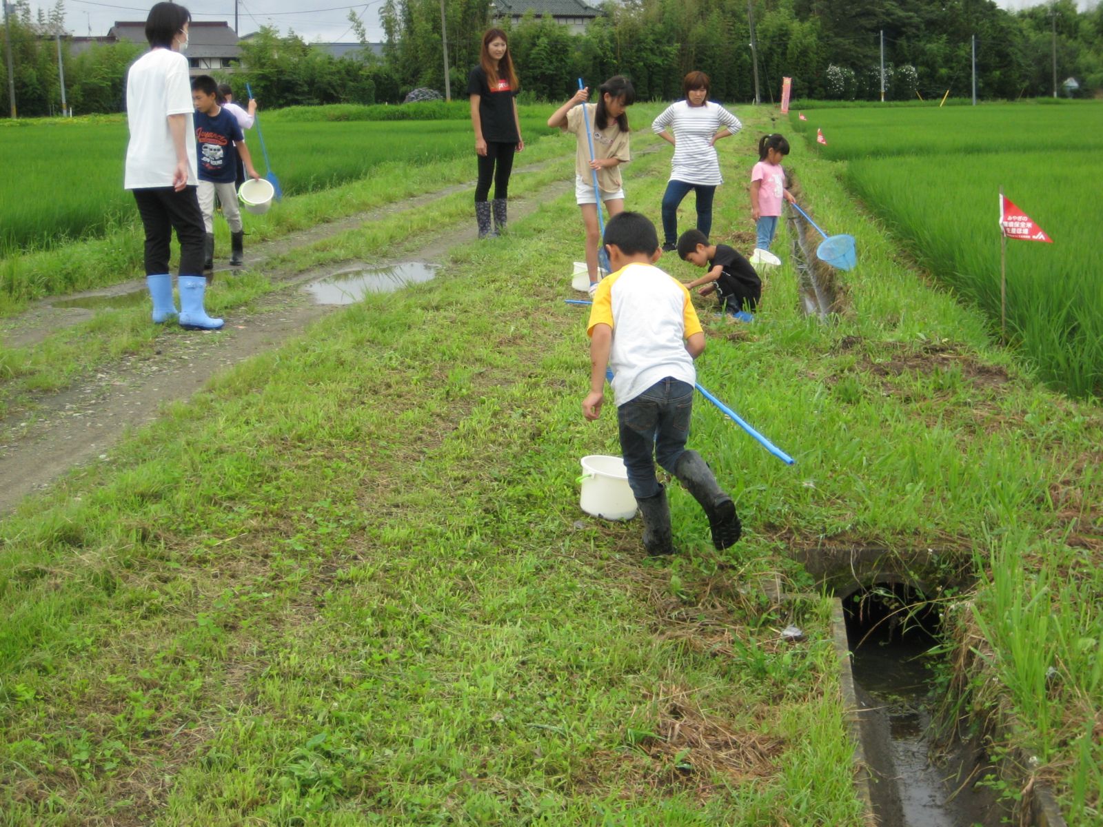 用水路草刈作業