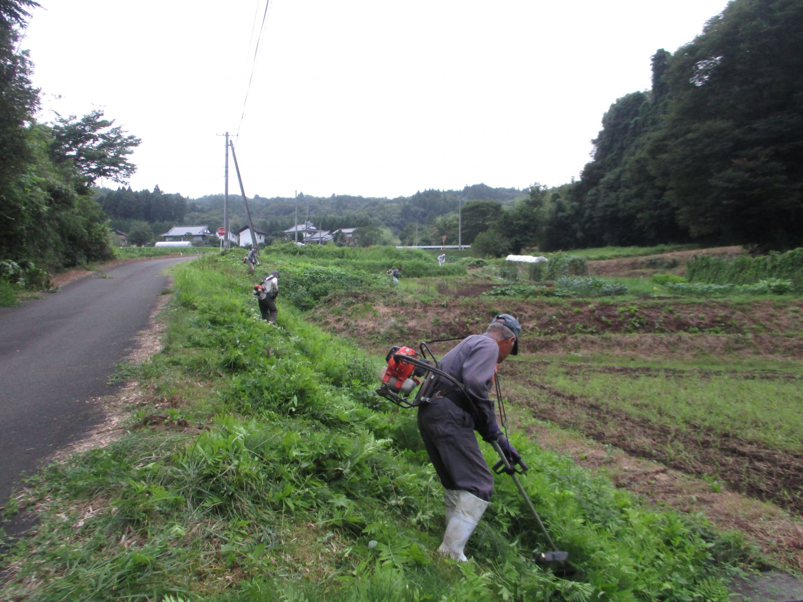 草刈作業前の集合写真